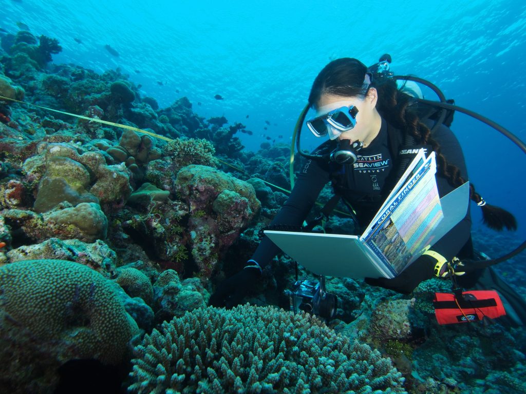 Coral Finder 2.0 in action in the Maldives...