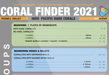 Coral Finder 2021