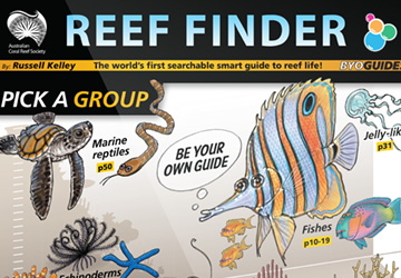 The Reef Finder