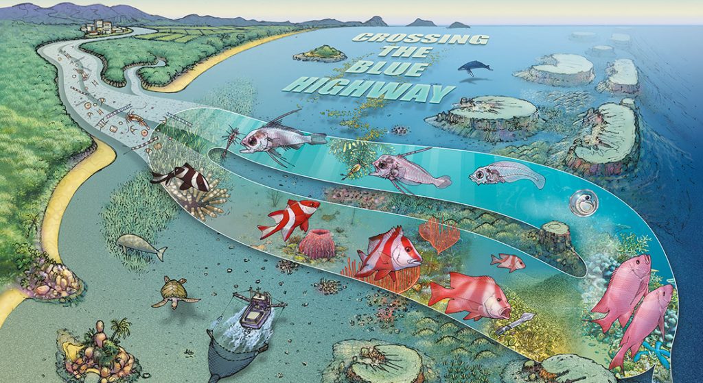 Blue Highway poster